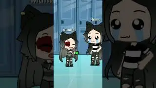 #мемы