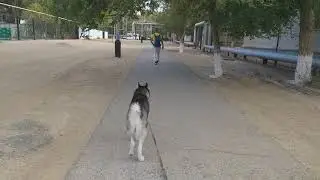Уходим на восток