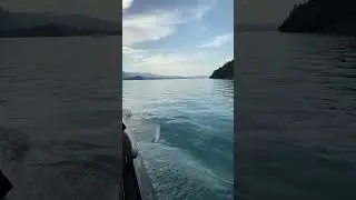 Lake Thun Switzerland🇨🇭🛳️