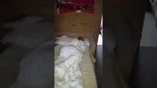 Recording My Friend In Bed