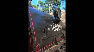 Steamfest Flyer Garratt 6029 overtakes  #steamengine #steamlocomotive