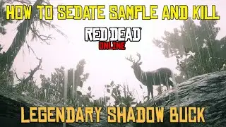 Red Dead Online (Legendary Shadow Buck) How to Sedate Sample and Kill