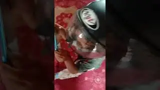 viral bocil game pake helem 