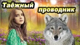 💥Таёжный проводник. (Часть1)