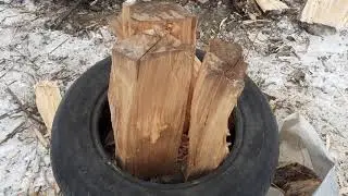 Заготовка берёзовых дров с помощью шины.