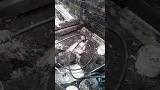 Очередная абиссинская скважина! Абиссинская скважина в Челябинске.