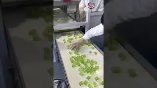 Automatic single color laundry ball condenstaion ball making production machine line