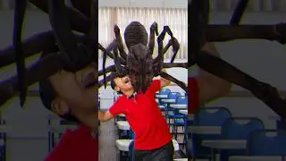 QUANDO VC TEM MEDO DE ARANHA 