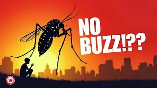 What If Mosquitos Cease to Exist?