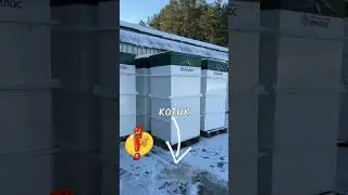 Про автономную канализацию [для чайников]  #дача #дом #приколы #стройка