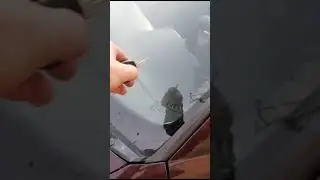Леваши 89679390666