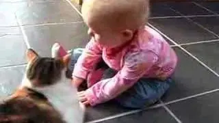 World's most tolerant cat?