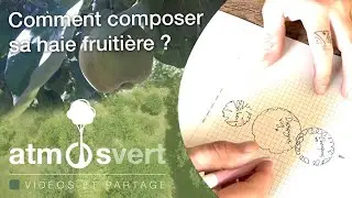 Comment composer sa haie fruitière ? (pour le mois de septembre)