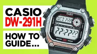 #CASIO