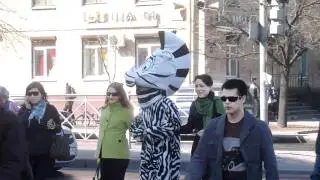Зебра на зебре.