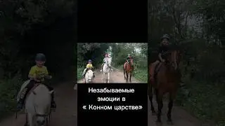 #сын #выходные # радость #эмоции #кони #конноецарство
