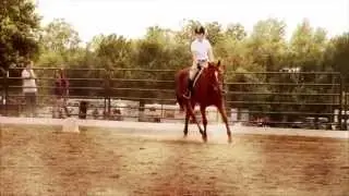 Shake it out