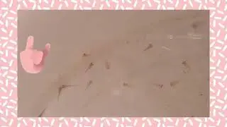 Мальки тритонов