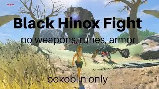 Fighting Black Hinox naked with literally nothing and a Bokoblin