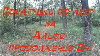 Покатушки по лесу на мопеде Альфа 2ч. продолжение.