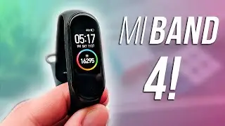 2 Weeks With the Xiaomi Mi Band 4 Full Review!
