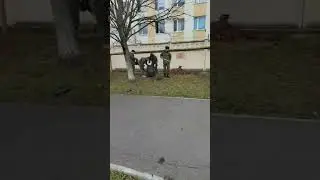 мобилизация