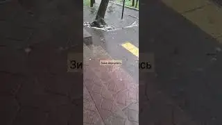 11.05.24 зима вернулась #снег #smolensk #video #shorts