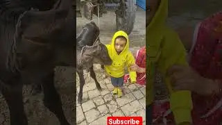 cute baby l 