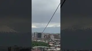 Арарат