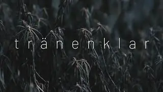 Diary of Dreams - tränenklar
