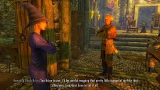 Sexual harassment in Skyrim