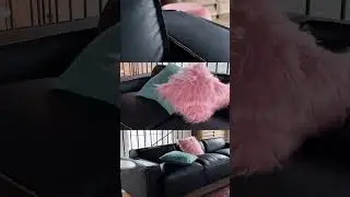 Эффектный интерьер
