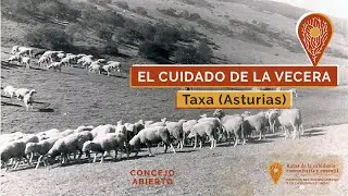 EL CUIDADO DE LA VECERA. (Taxa. Asturias) - Caminos del buen gobierno y la buena vecindad.