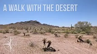 At First I Saw Only Desolation: A Walk With the Desert