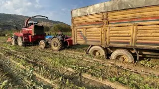 ÇİFTÇİ; VALLAHİ BEZDİM BİLLAHİ BIKTIM 🚜
