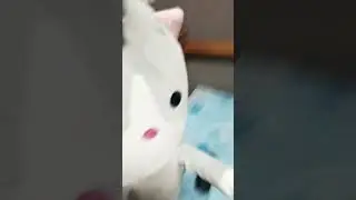 жоска флекс