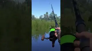 #халява