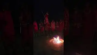 Masai Mara tripe singing and dancing 2023 4k