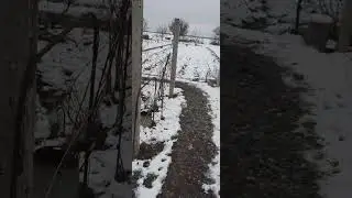 22 ноября 2023 г.