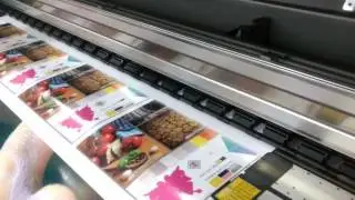 Epson GS6000  - Manutenção Corretiva