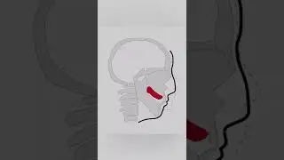 N уже не тот #shorts #дроныубийцы #glitchproductions #murderdronesuzi #murderdronesv #мьюнинг #uzi