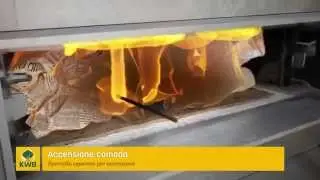 KWB Classicfire Caldaia a legna spaccata - Riscaldamento classico con tutti i comfort