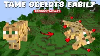 How to Tame OCELOT in Minecraft 1.20+