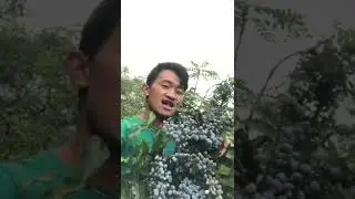 गोठा लो दाइ को shot vLog nepal  अन्तिम सम्म हेर्नु होला )