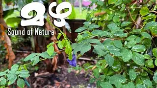 mazha | മഴ | sound of nature
