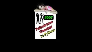 Palindrome Checker in Python | Check if a String is Palindrome in Python