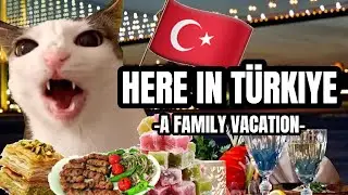 CAT MEMES: HERE IN TÜRKIYE PT.2