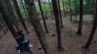 Drevjakt på dov, skottsekvens (kort film)