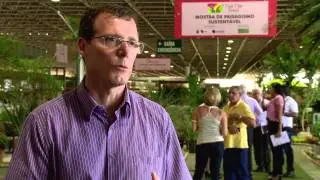 Flores movimentam economia de Brasília