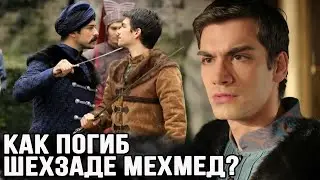 Как погиб Мехмед на самом деле? великолепный век